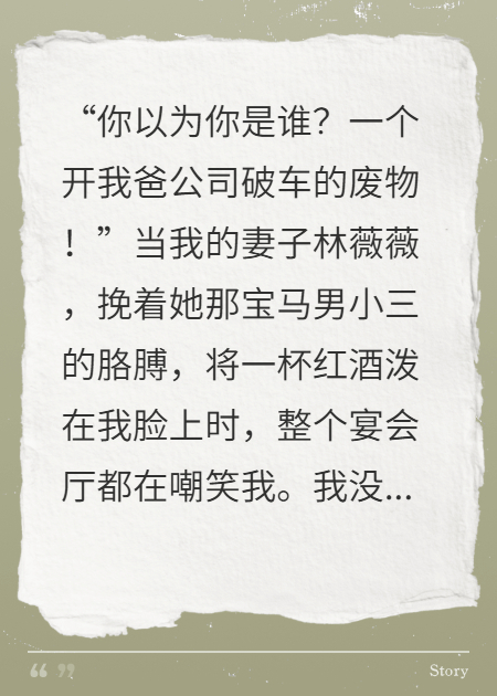 我搞垮她娘家，看着她跪地求我附加+结局（林薇薇林国栋）无删减速览阅读