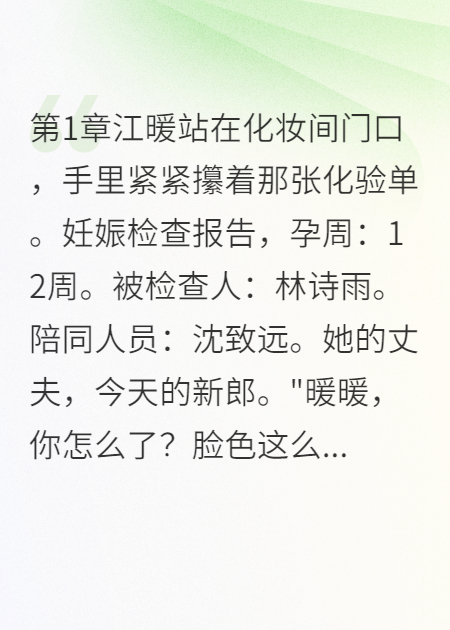 江暖沈致远林诗雨的故事出自哪本小说？