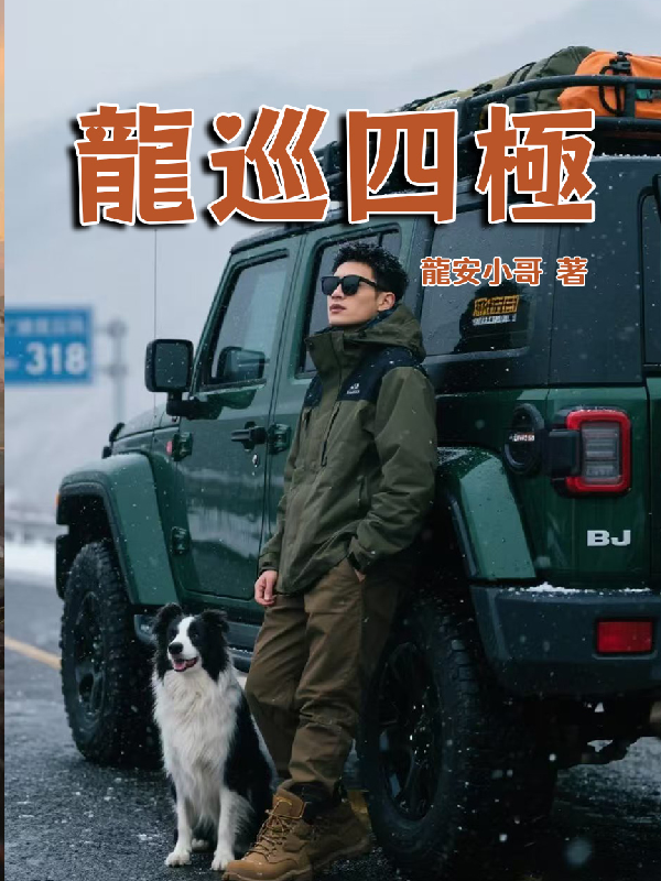 我成了傻女后，陛下杀疯了