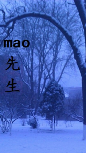 mao先生