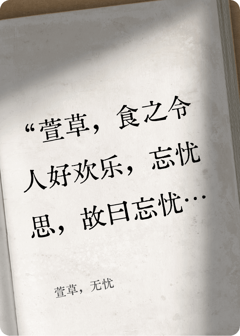 萱草，無憂