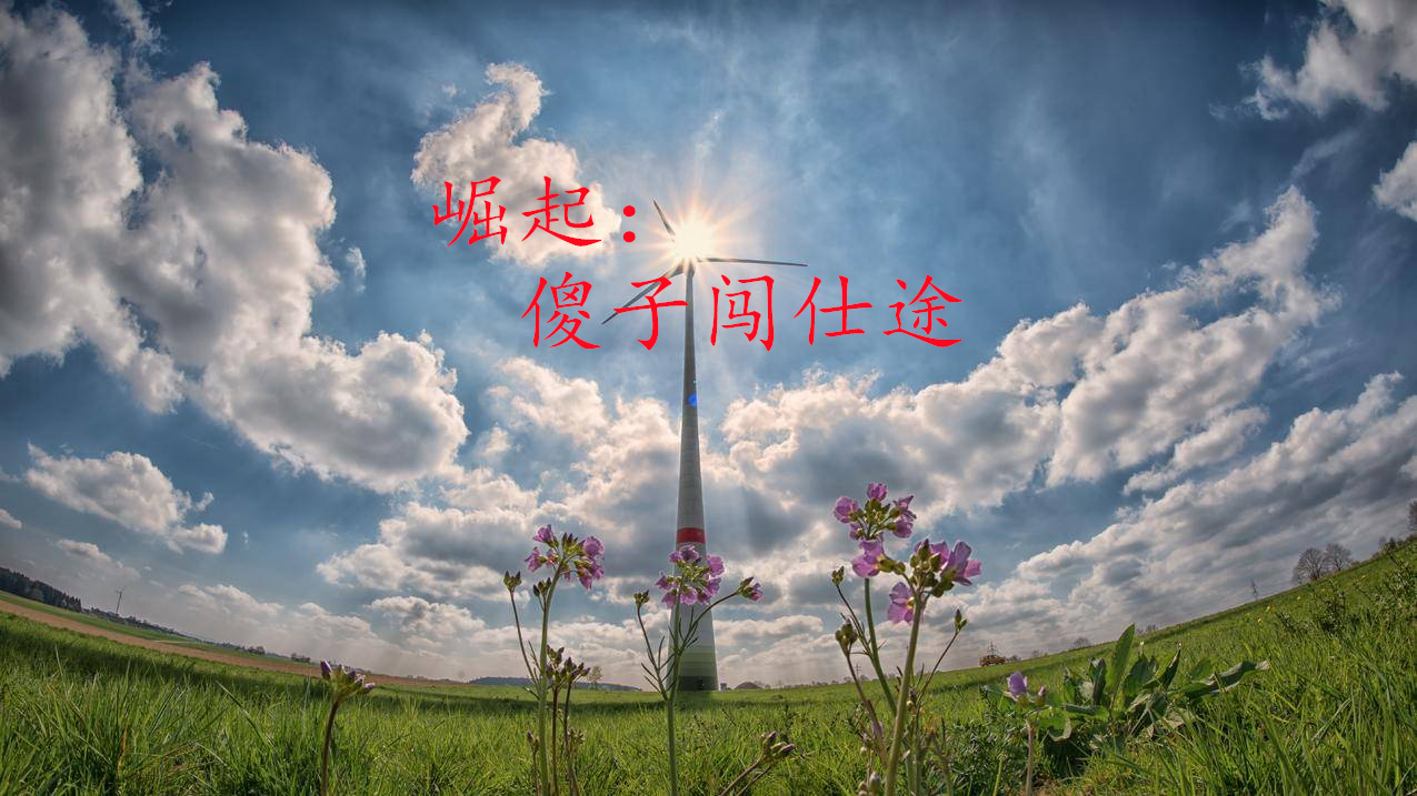主角叫李志强马疏影的小说名字是什么？